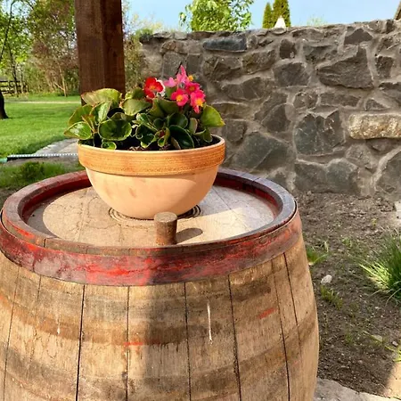 Апартаменты Hengermalom Kuria *